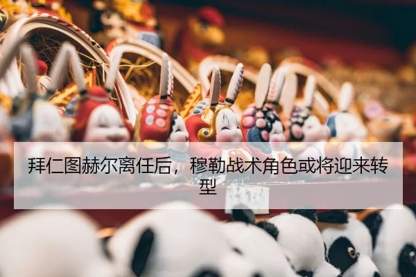 bai-ren-tu-he-er-li-ren-hou-mu-lei-zhan-shu-jue-se-huo-jiang-ying-lai-zhuan-xing-2-919.jpg