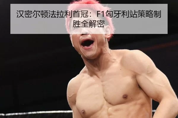 汉密尔顿法拉利首冠：F1匈牙利站策略制胜全解密