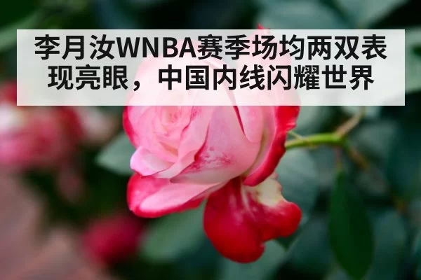 李月汝WNBA赛季场均两双表现亮眼,中国内线闪耀世界