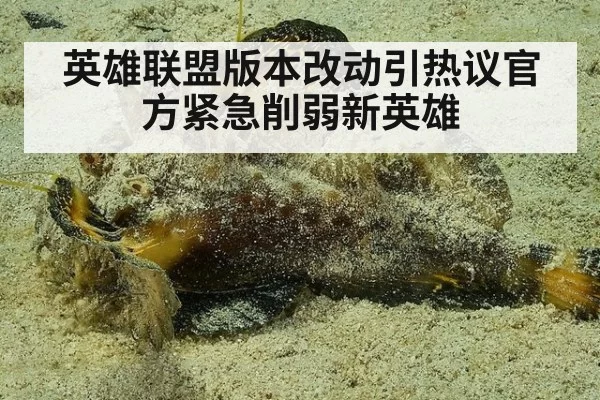 英雄联盟版本改动引热议官方紧急削弱新英雄